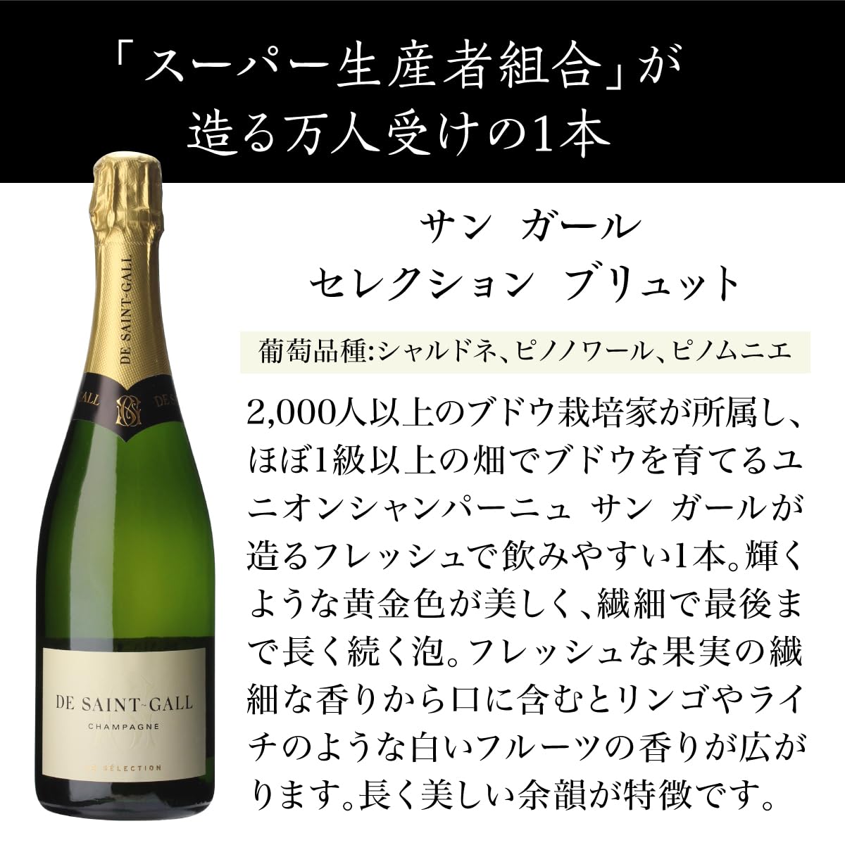 Amazon.co.jp: 厳選 シャンパン 3本 セット シャンパンセット